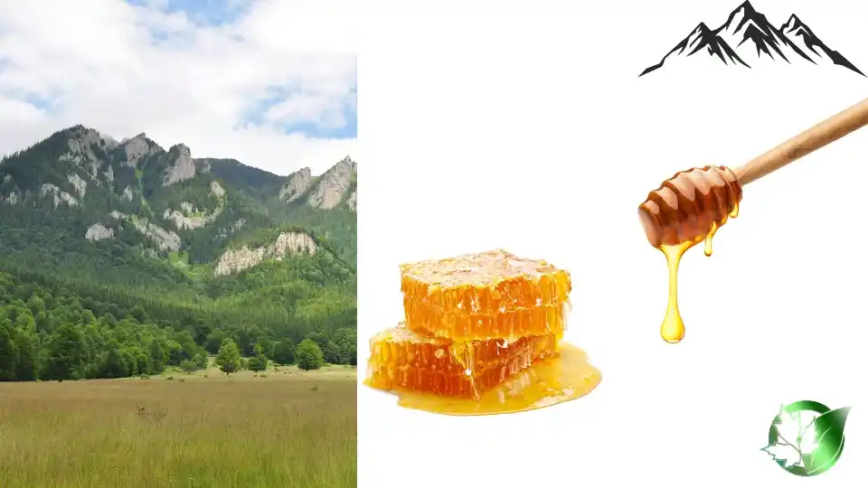 Commercial presentation of Mountain Honey for wholesale product evaluation and buyer review.